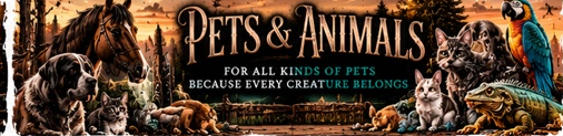 pets animals banner