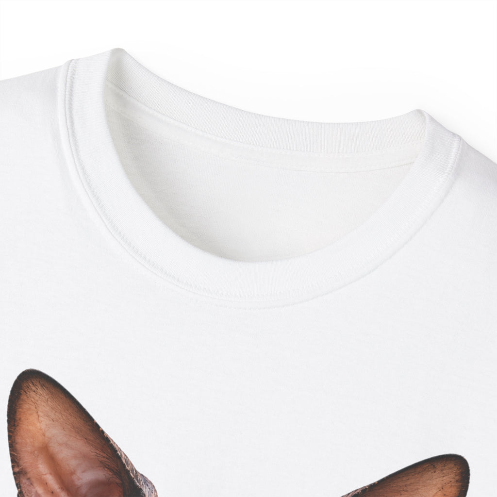 Wild & Whiskers Sphynx Cat Bad Attitude collection