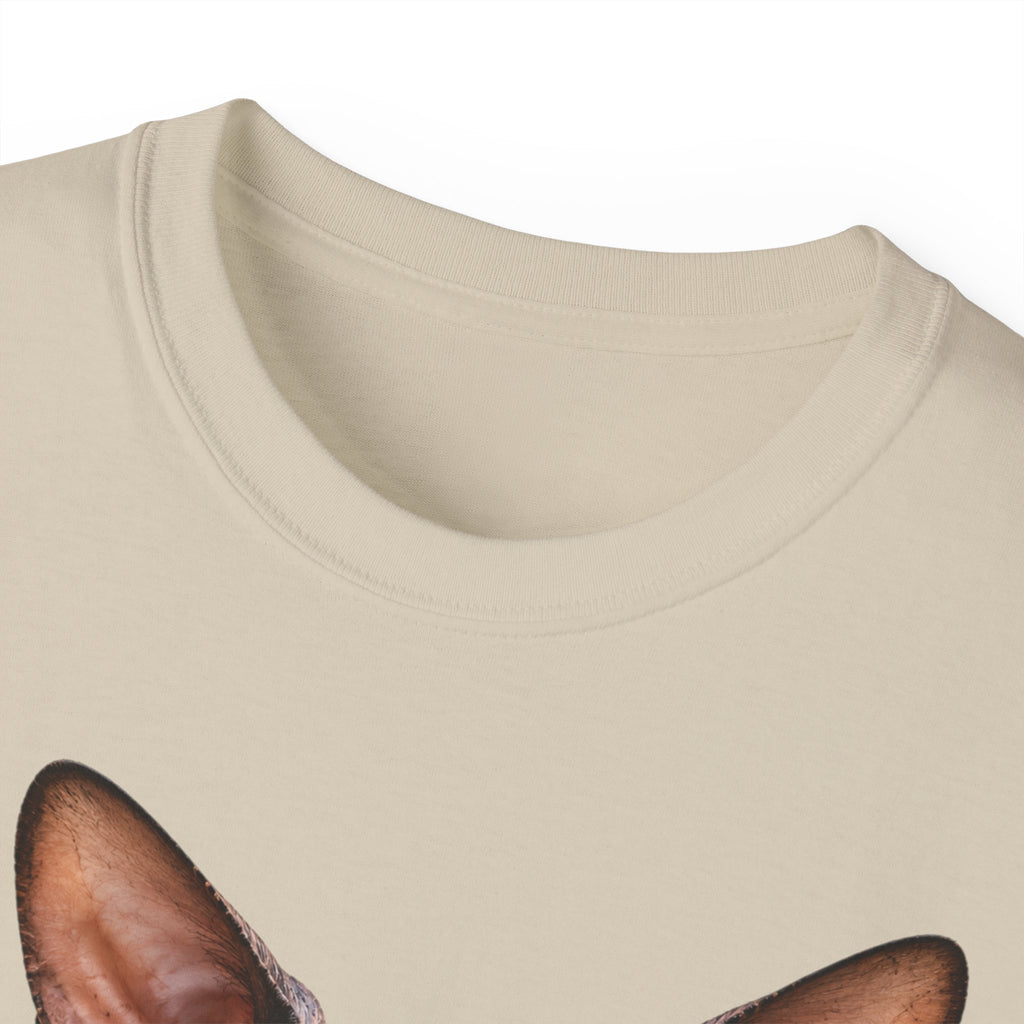 Wild & Whiskers Sphynx Cat Bad Attitude collection