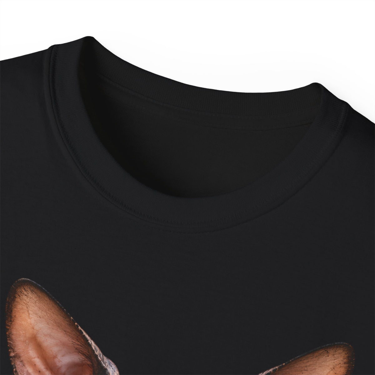 Wild & Whiskers Sphynx Cat Bad Attitude collection