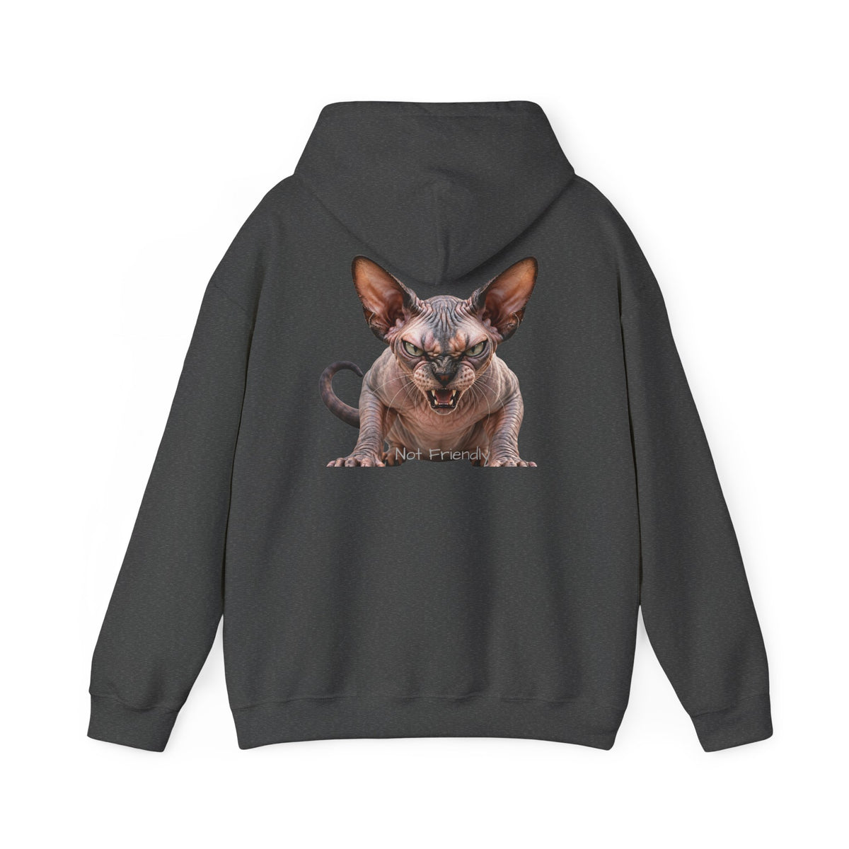 Not Friendly Sphynx Cat Hoodie