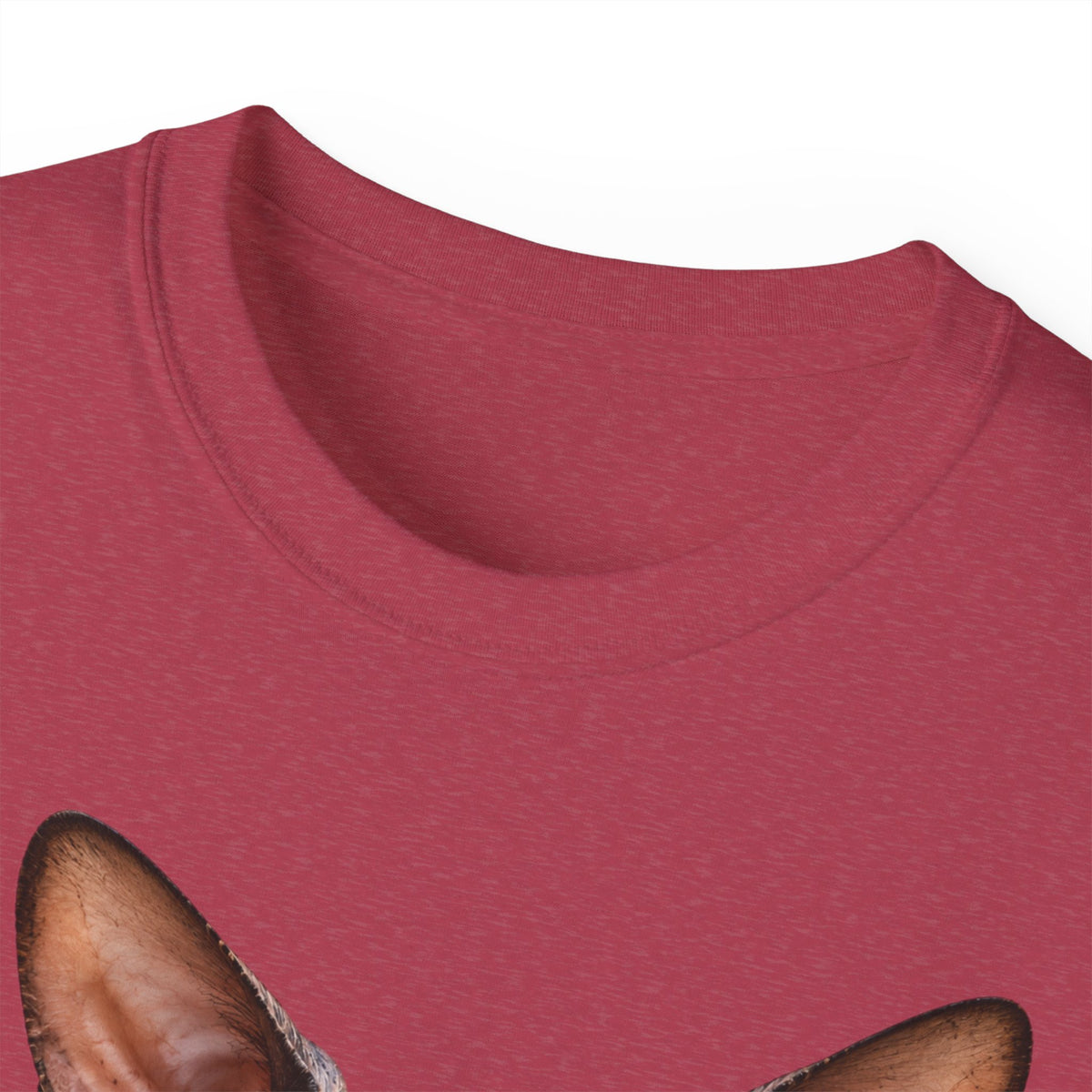 Wild & Whiskers Sphynx Cat Bad Attitude collection