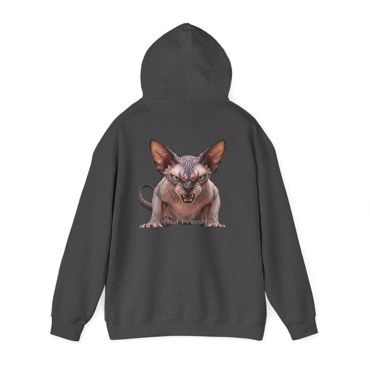 Not Friendly Sphynx Cat Hoodie