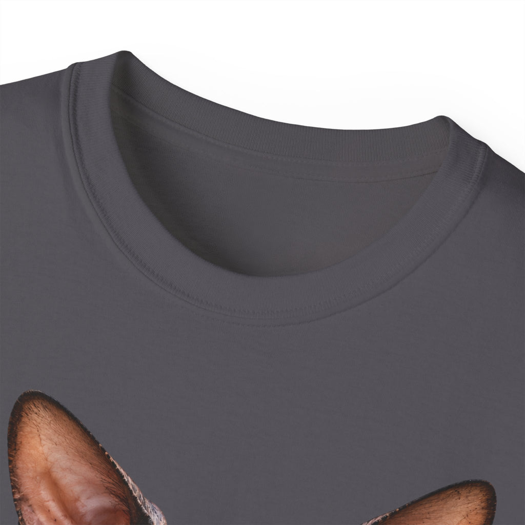 Wild & Whiskers Sphynx Cat Bad Attitude collection