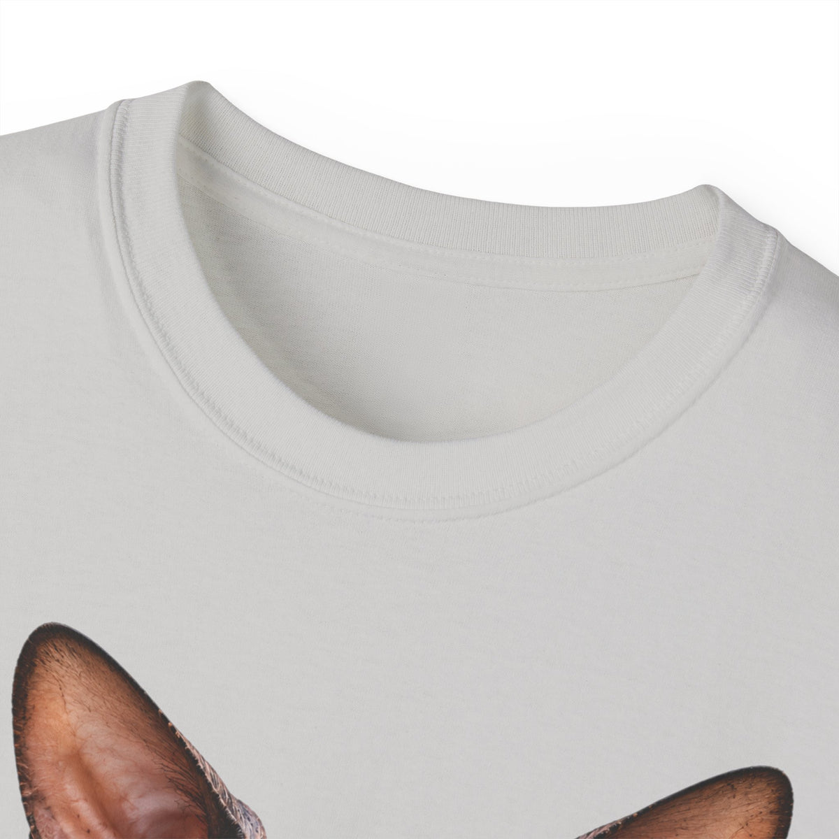 Wild & Whiskers Sphynx Cat Bad Attitude collection