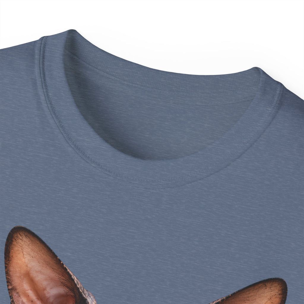Wild & Whiskers Sphynx Cat Bad Attitude collection