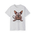 Wild & Whiskers Sphynx Cat Bad Attitude collection