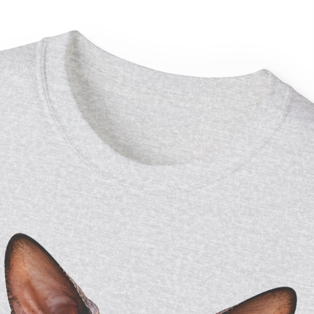 Wild & Whiskers Sphynx Cat Bad Attitude collection