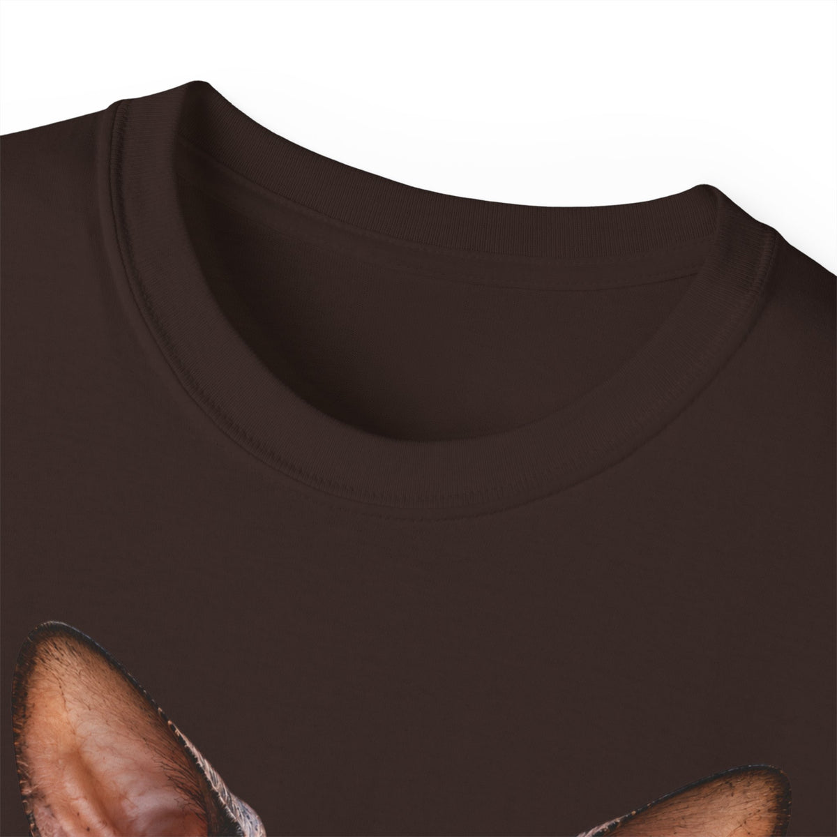 Wild & Whiskers Sphynx Cat Bad Attitude collection