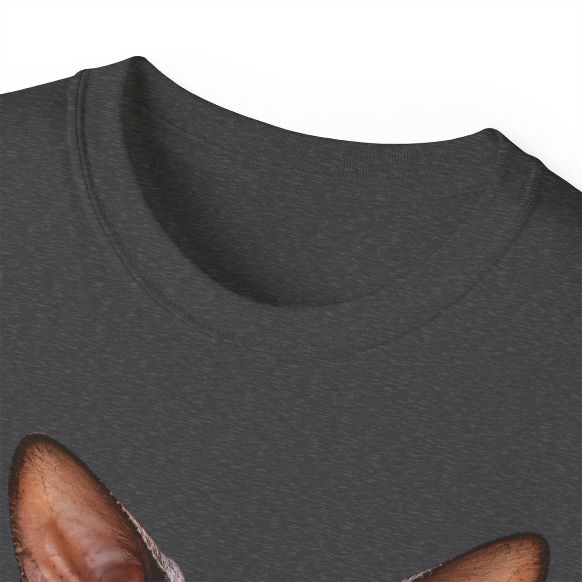 Wild & Whiskers Sphynx Cat Bad Attitude collection